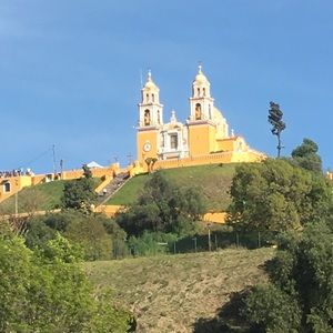 Meet your Posher, Kenny